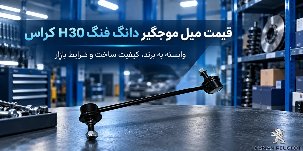 قیمت میل موجگیر دانگ فنگ H30 CROSS