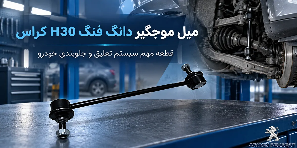میل موجگیر دانگ فنگ H30 کراس